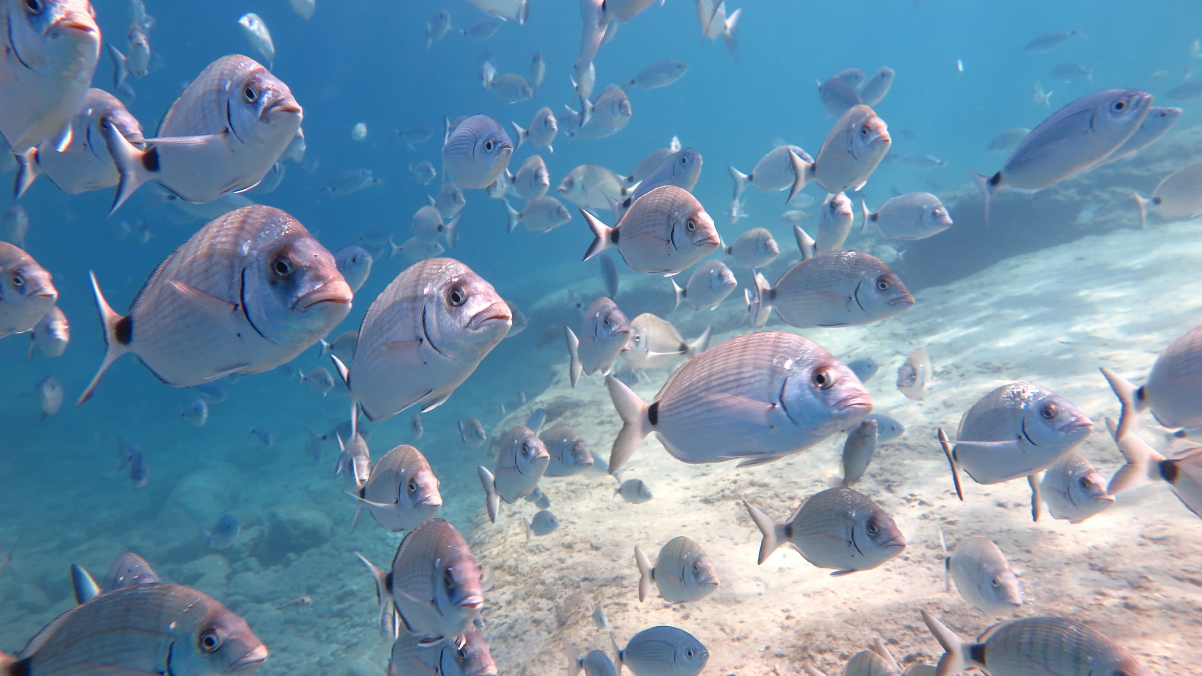 View from a dive boat in Ölüdeniz bay
