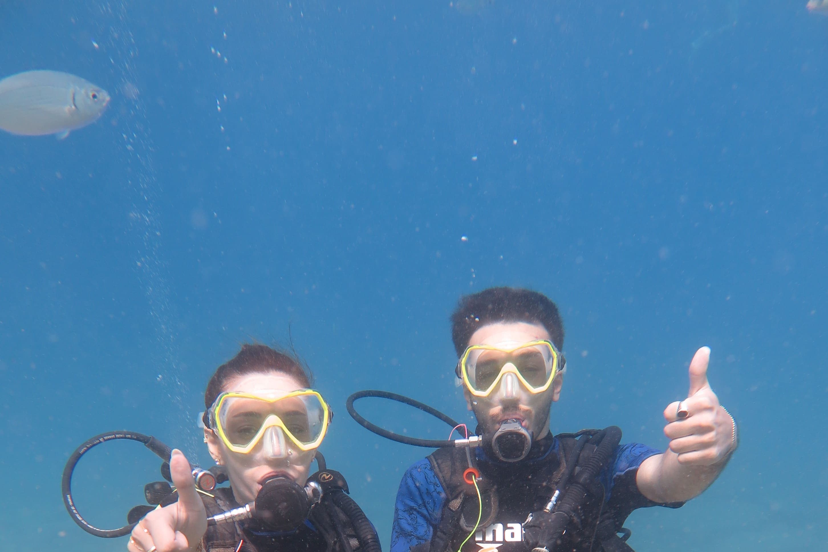 Two-dive day trip